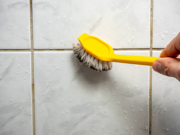 Best Home Mold Removal  in Taylors Falls, MN